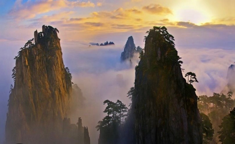 Tree-covered mountain peaks rising above clouds in golden evening light